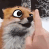 Benutzeravatar