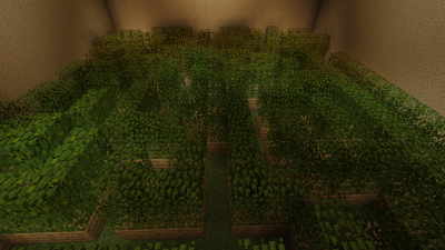 Labyrinth
