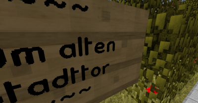 Schatz3
