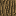 Eichenstamm :log1: