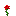 Rose :rose: